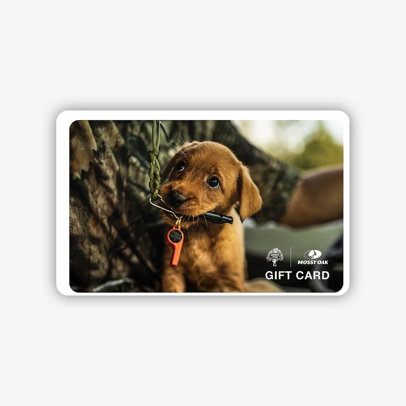 Digital Gift Cards - Image 7